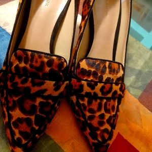 Leopard print shoes